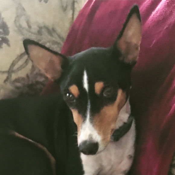 NO clowning around.... - Picture 5 of 16